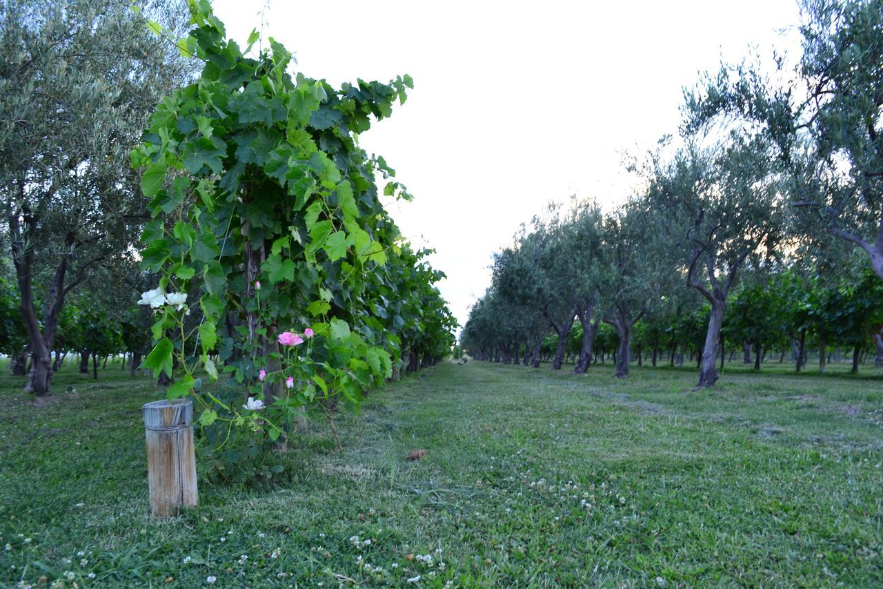 Finca Fisterra Maipú Dış mekan fotoğraf