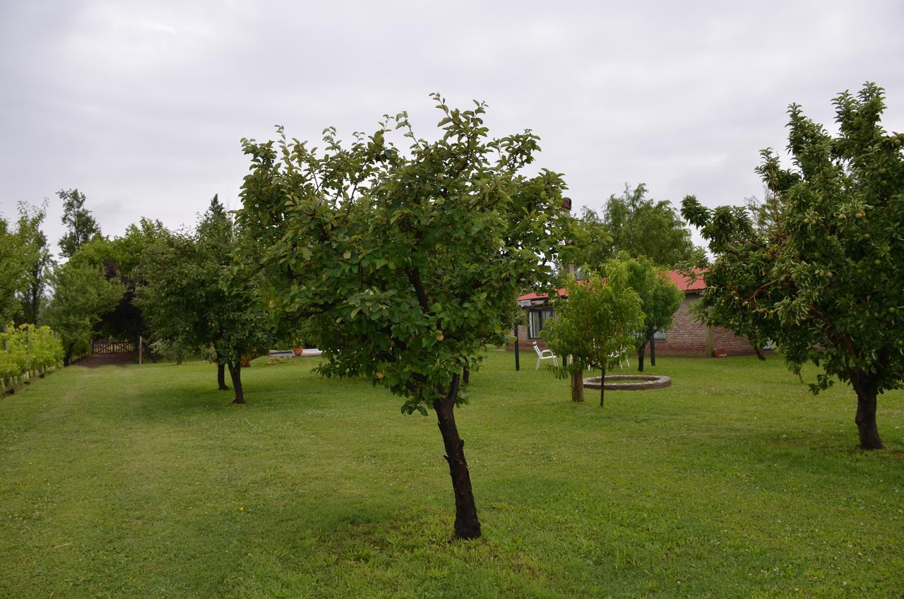 Finca Fisterra Maipú Dış mekan fotoğraf