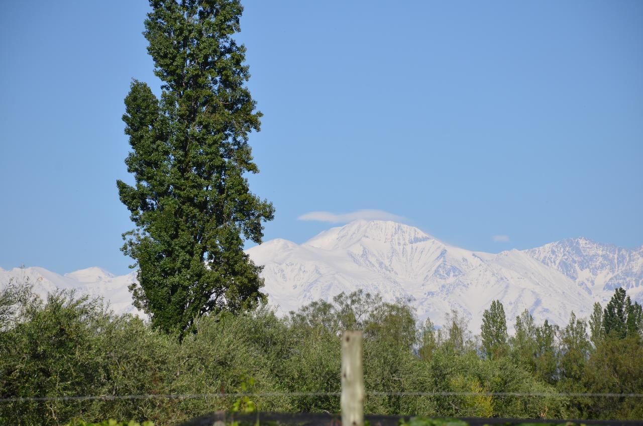 Finca Fisterra Maipú Dış mekan fotoğraf