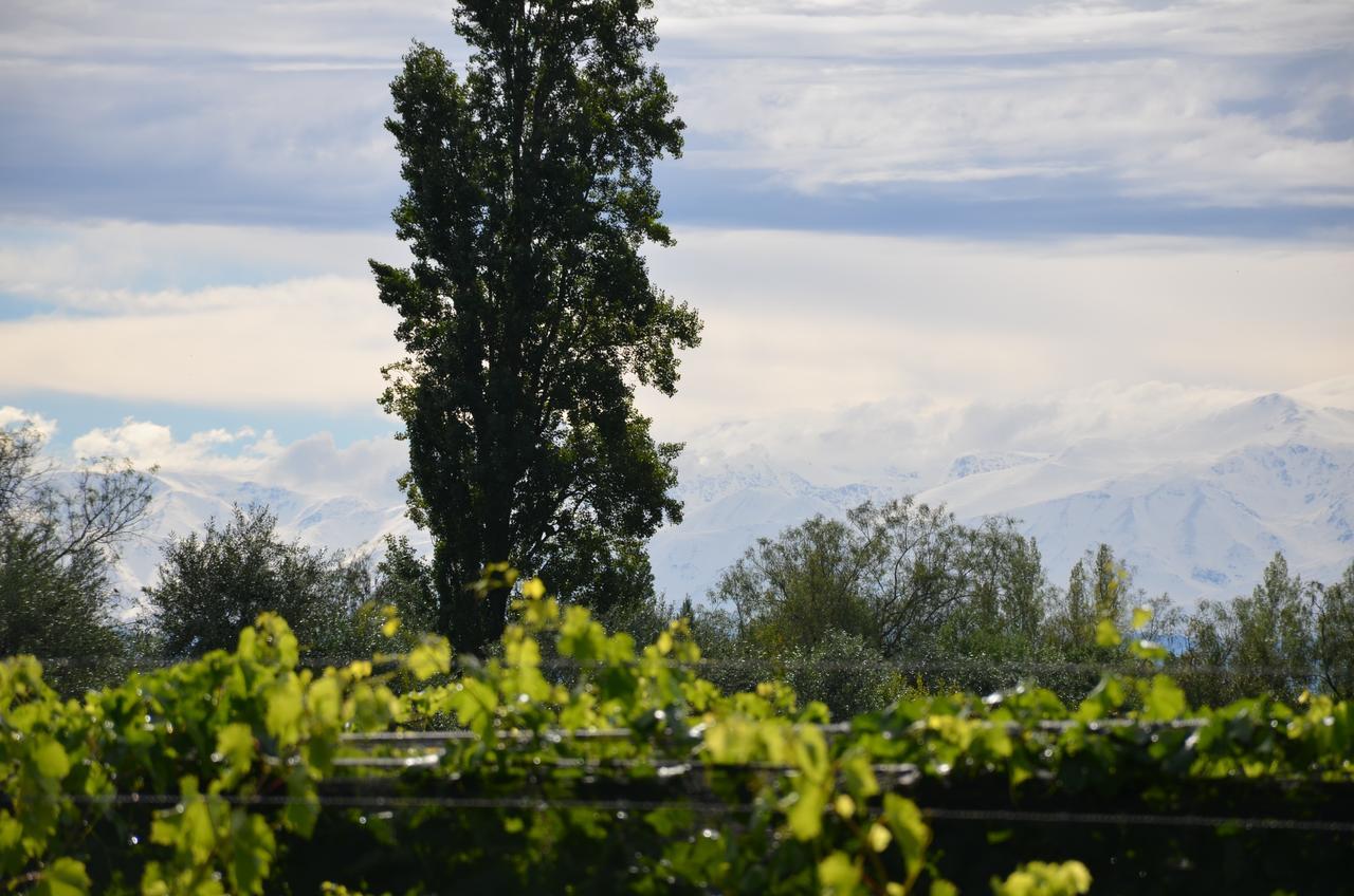 Finca Fisterra Maipú Dış mekan fotoğraf