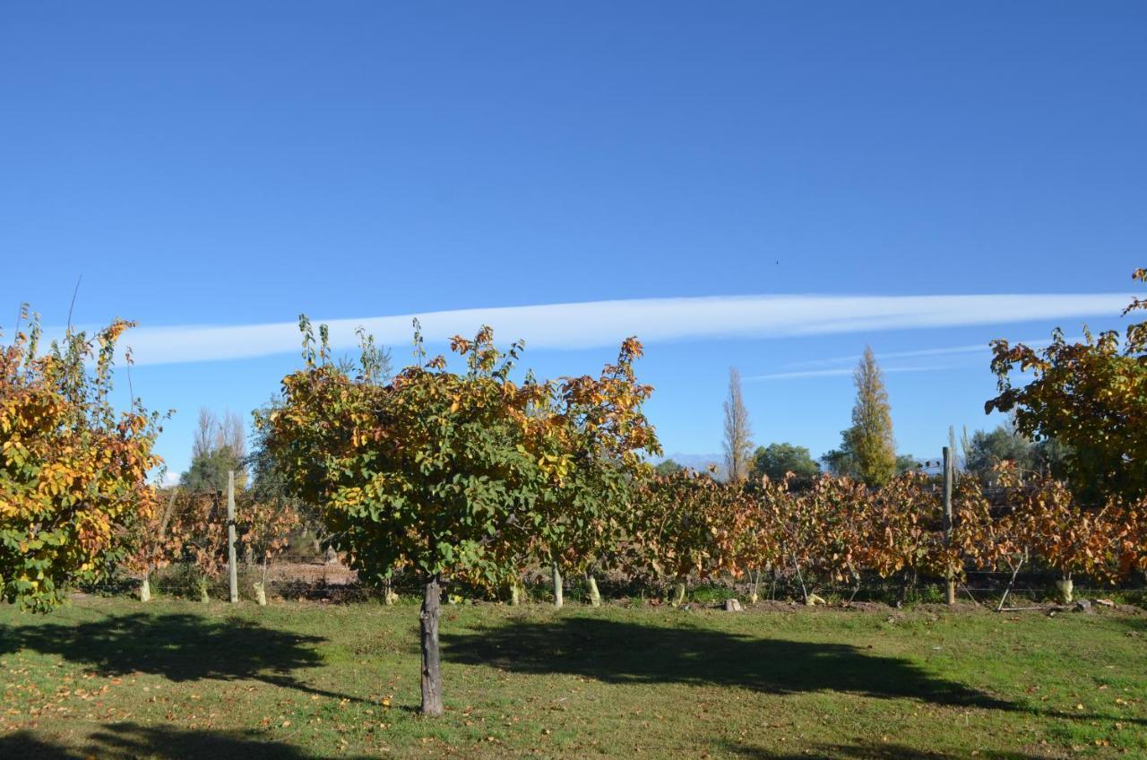 Finca Fisterra Maipú Dış mekan fotoğraf