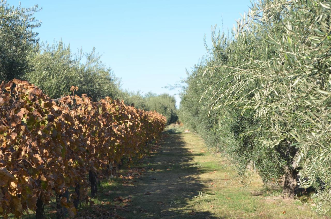 Finca Fisterra Maipú Dış mekan fotoğraf