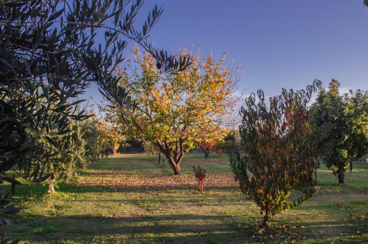 Finca Fisterra Maipú Dış mekan fotoğraf