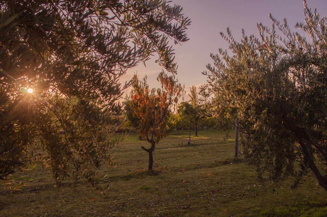 Finca Fisterra Maipú Dış mekan fotoğraf