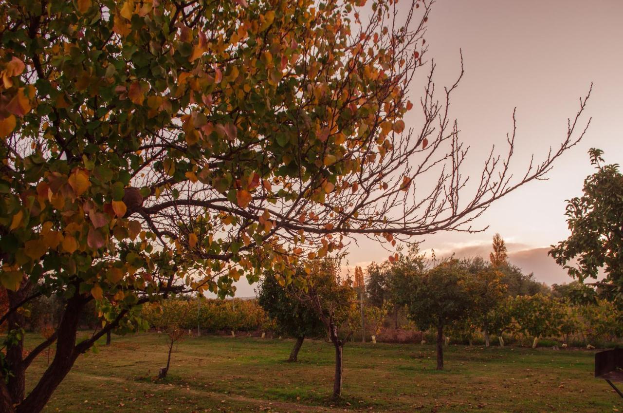 Finca Fisterra Maipú Dış mekan fotoğraf